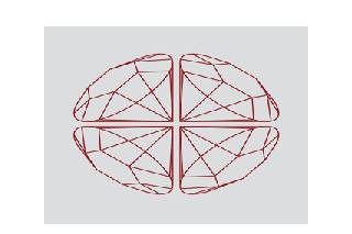 Vermelho Fotografia logo