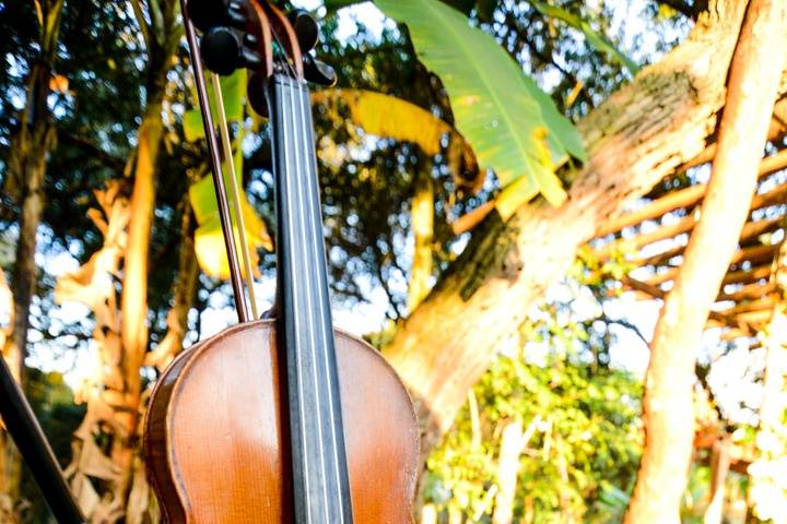 Instrumentos acústicos