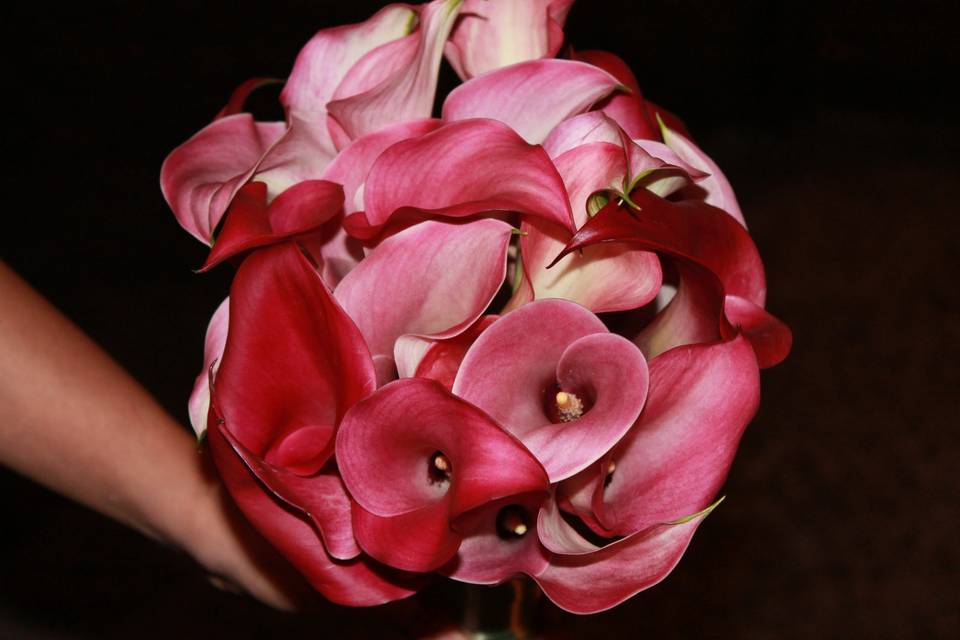 Bouquet de Calas