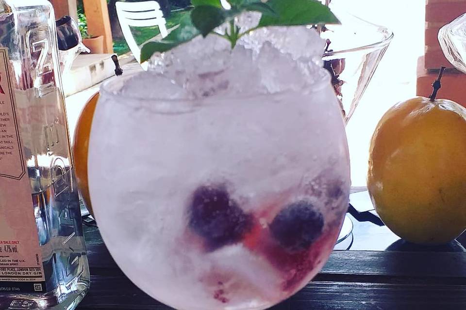 Gin tônica com Uva e Morango