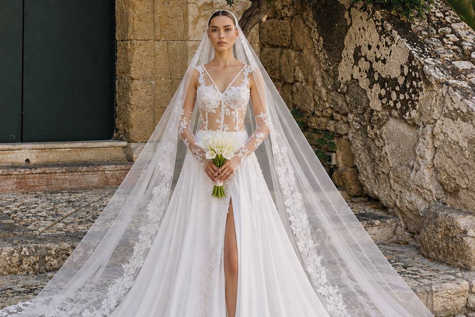 Vestido de Noivas