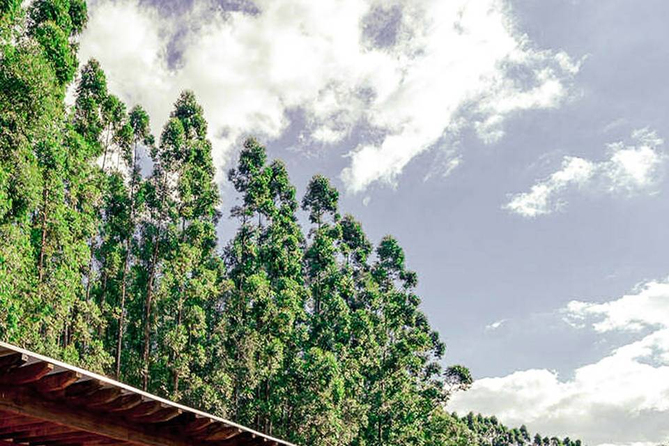 Eco Resort