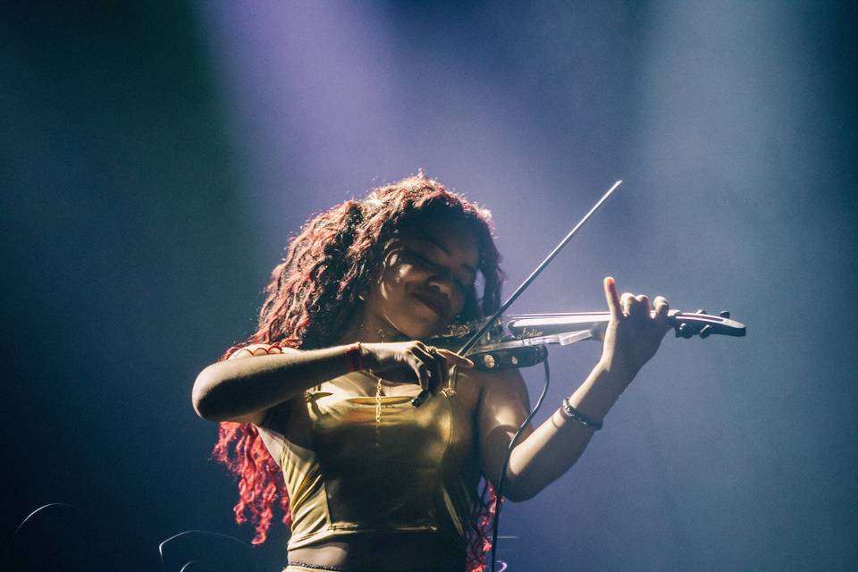 Violinista