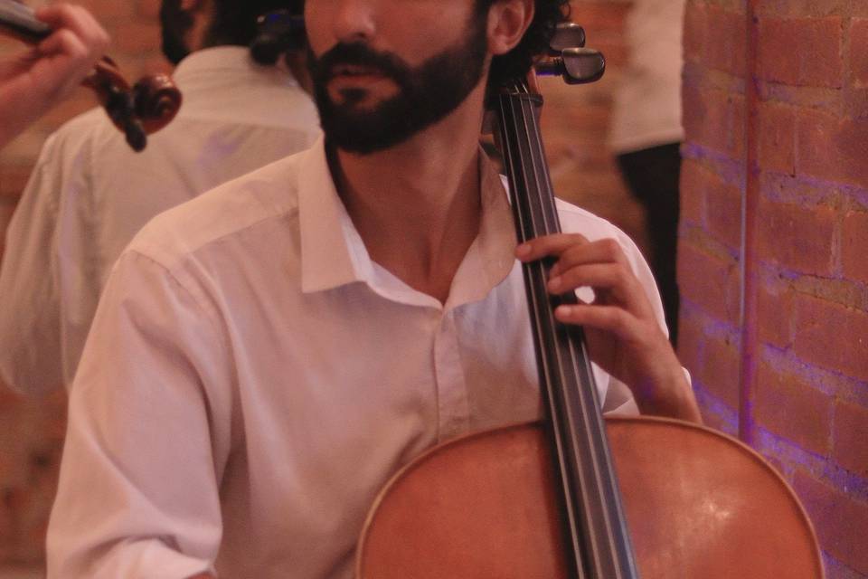 Rafa du Celli Cellista