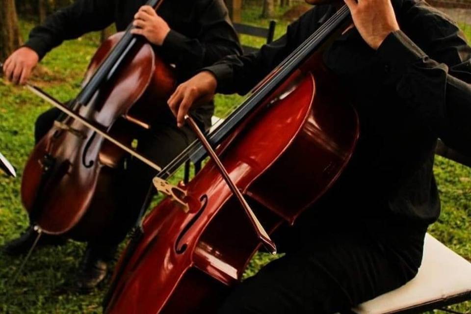 Duo de Cellos