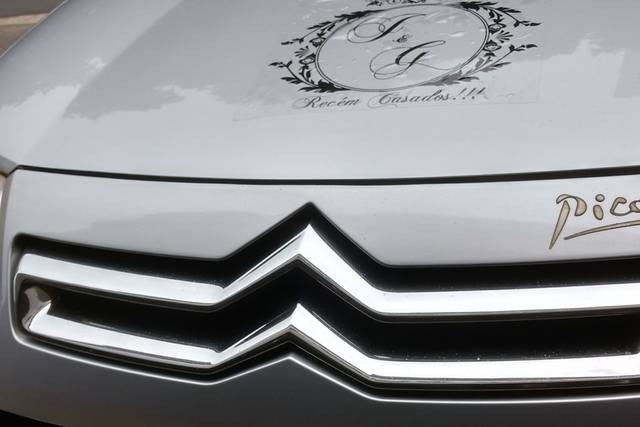 Leonardo motorista executivo