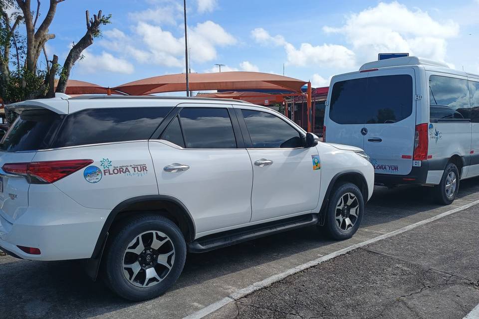 Transporte em aeroporto BPS