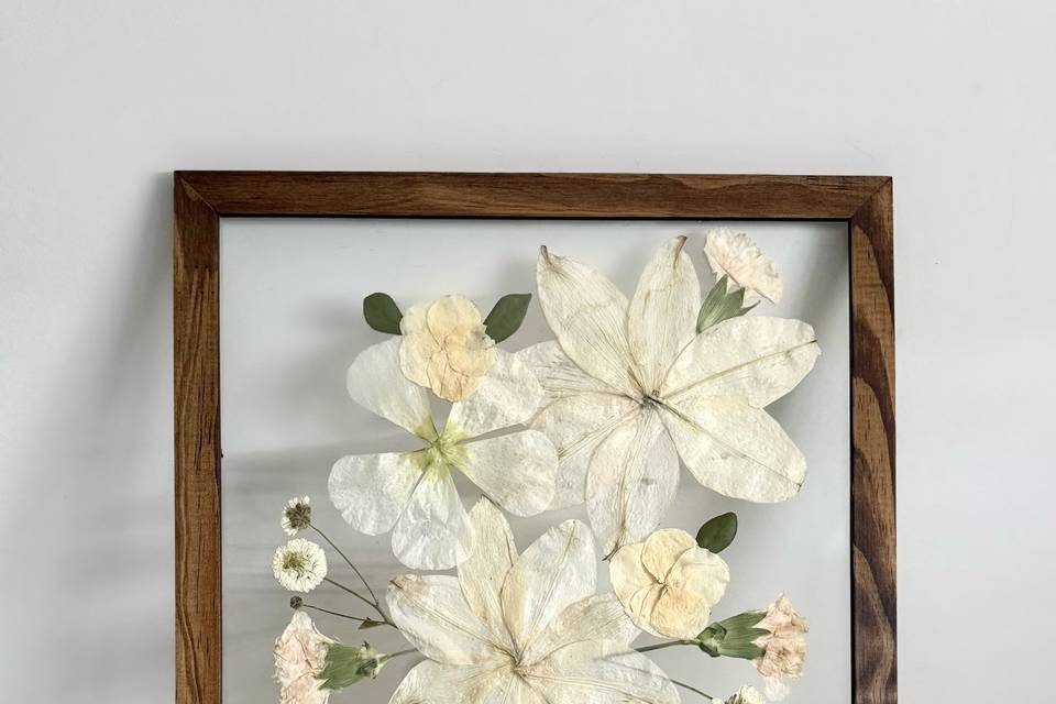 Quadro 2D