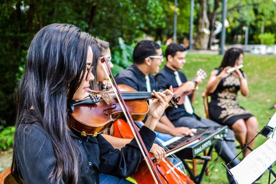 Flor de Lis Orquestra