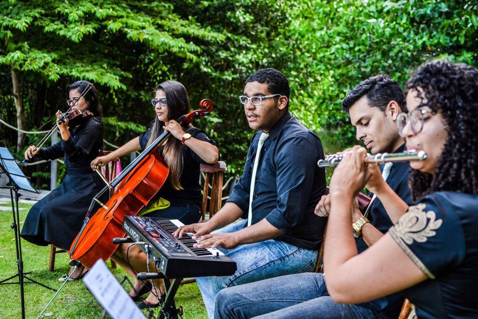 Flor de Lis Orquestra