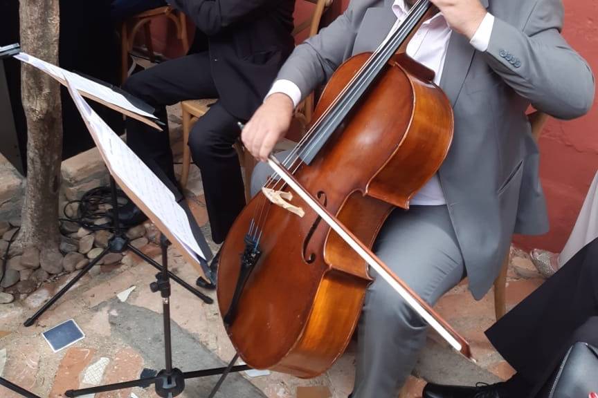 Cello, flauta e piano