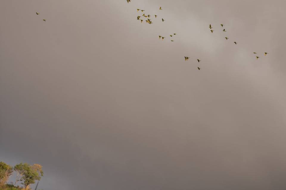 Beleza nos detalhes