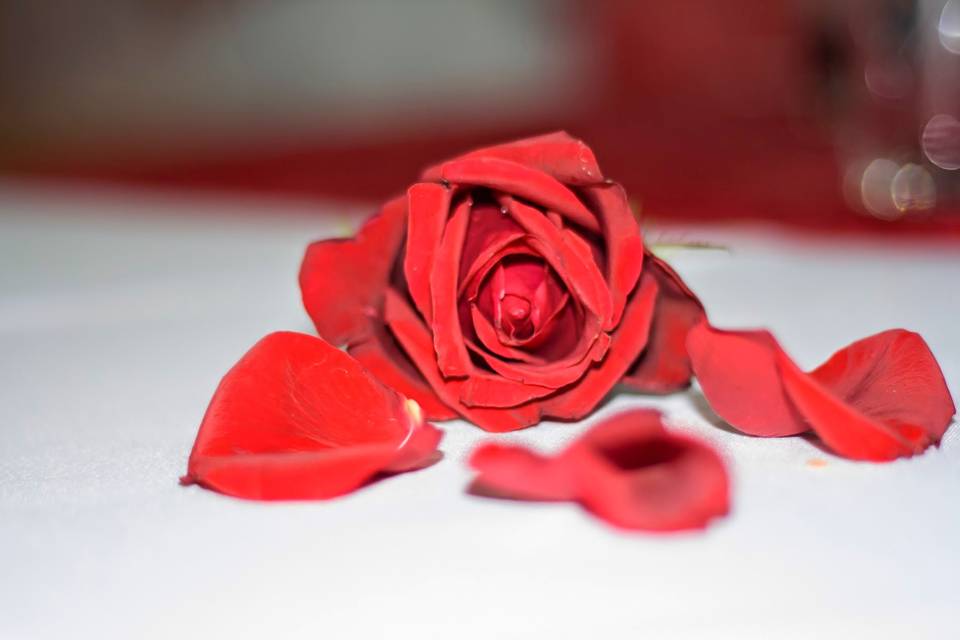 Rosas