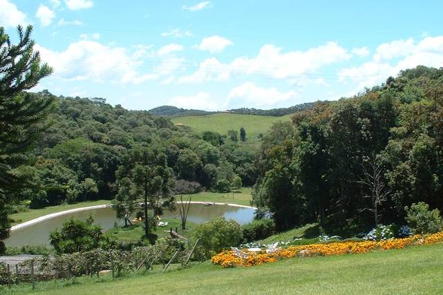 Jardim
