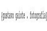 Gustavo Gaiote logo