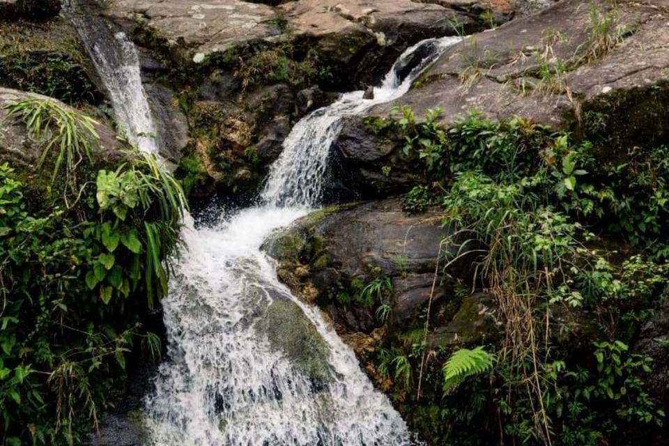 Integrado a Natureza